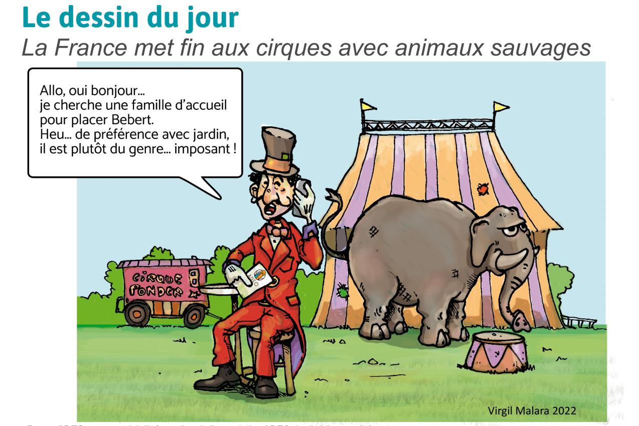 animaux-sauvages-interdits-dans-les-cirques